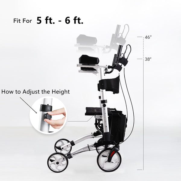 Fully Foldable Standing Walker Size