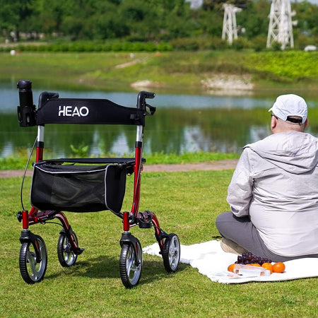 Folding Rollator Walker for Seniors with Cup Holder and 10" Wheels
