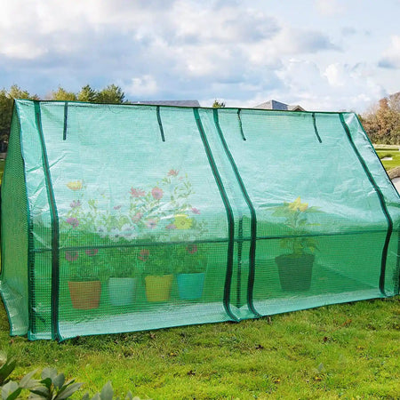 71" x 36" x 36" Mini Greenhouse (2 Colors Available)